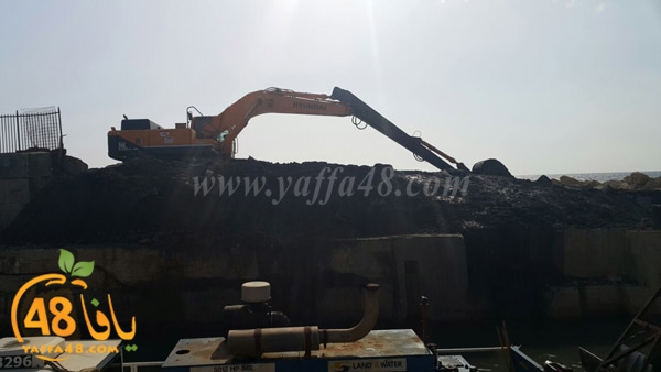 mina2 tandeefat3 (7).jpg